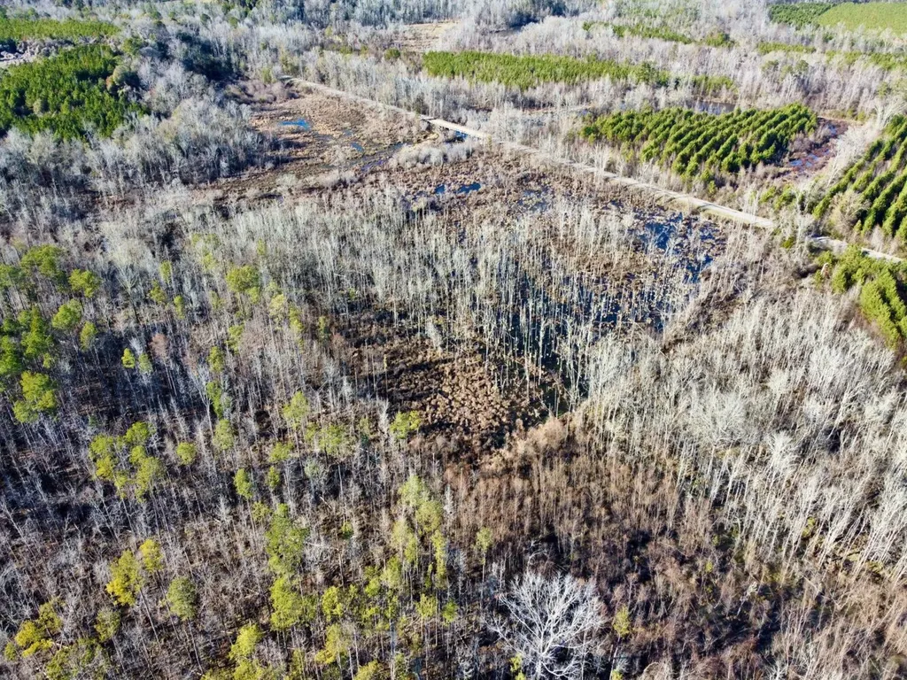 0 County Road 6 Marion Junction AL 36701