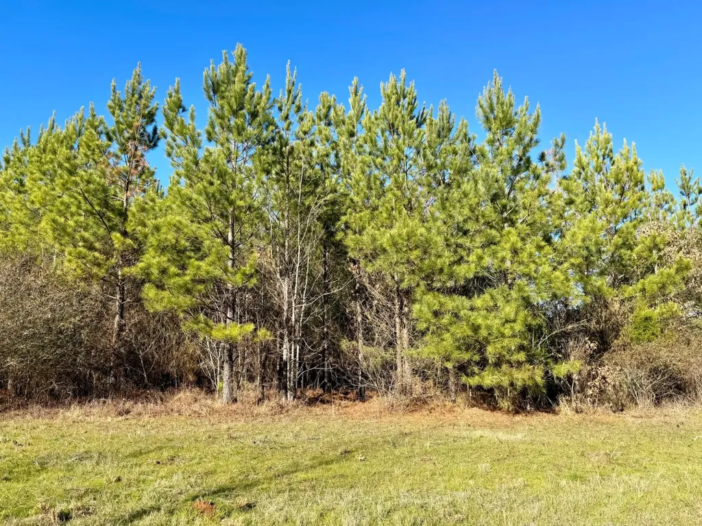 0 County Road 6 Marion Junction AL 36701