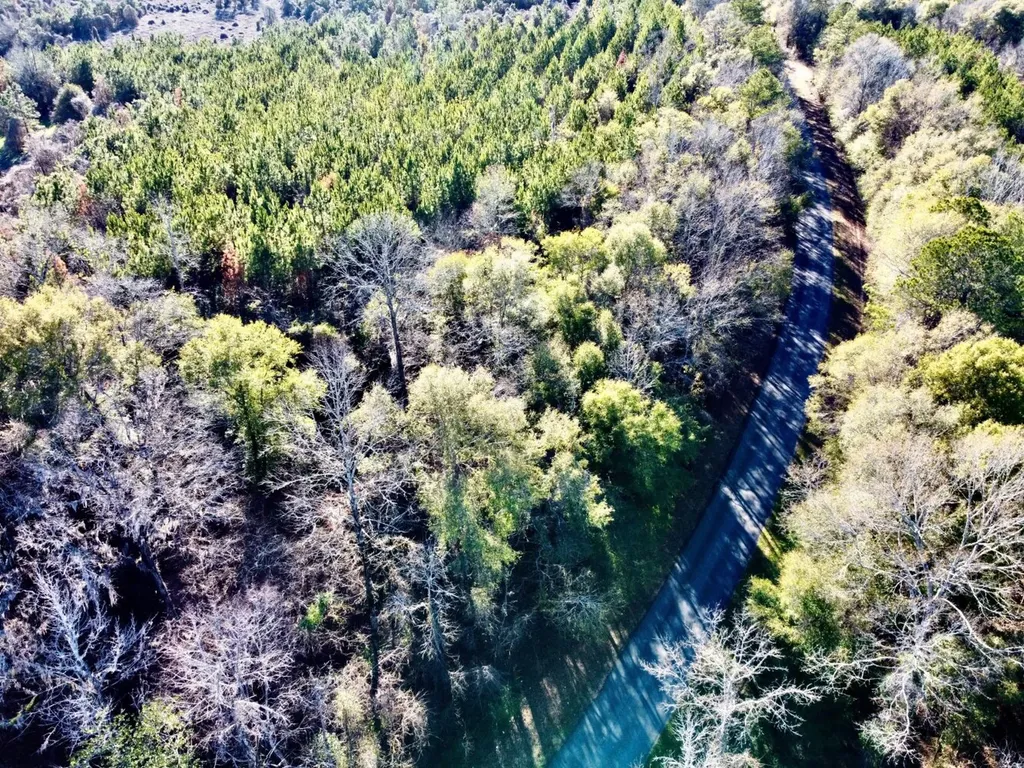 0 County Road 6 Marion Junction AL 36701