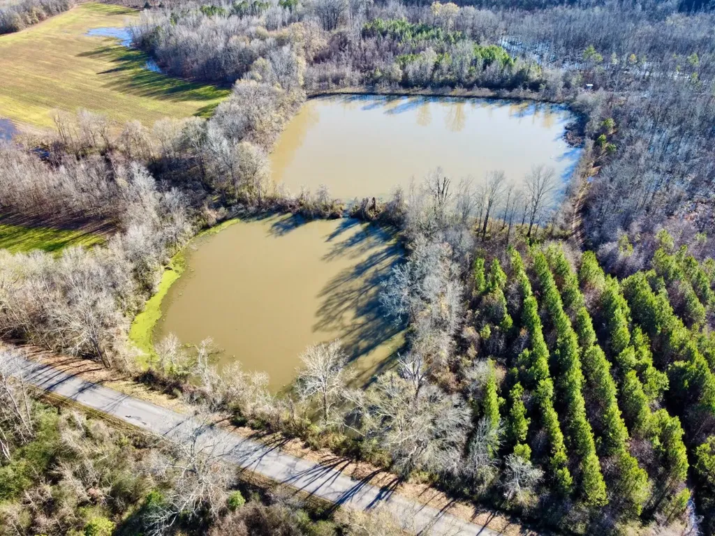 0 County Road 6 Marion Junction AL 36701