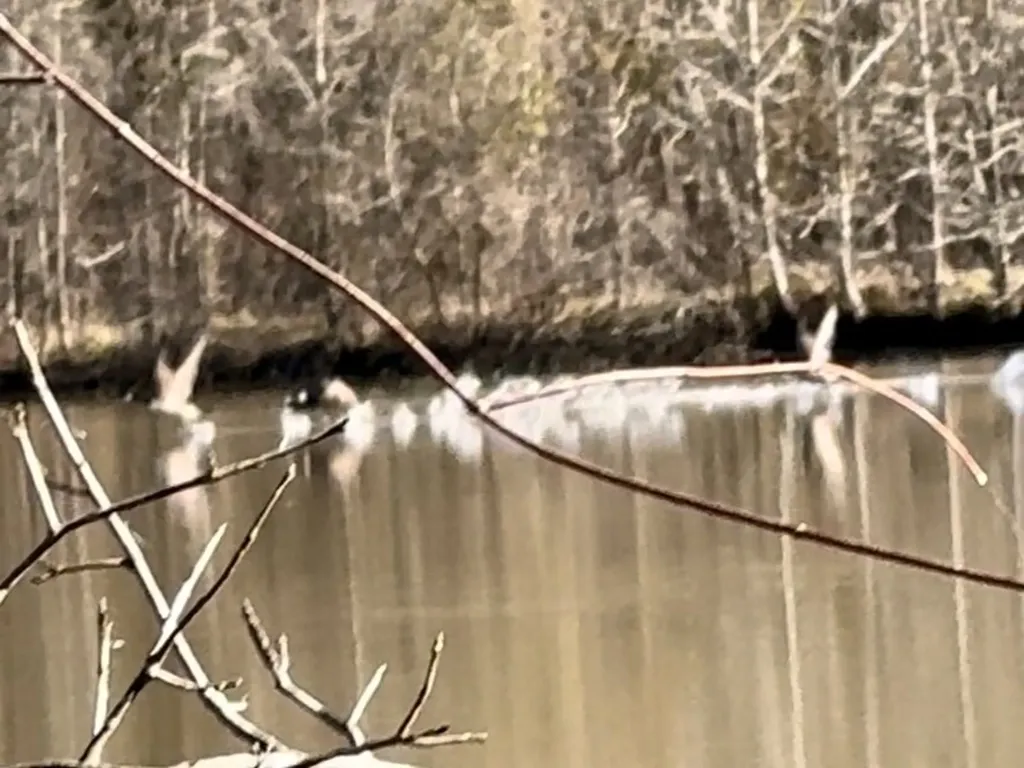 0 County Road 6 Marion Junction AL 36701