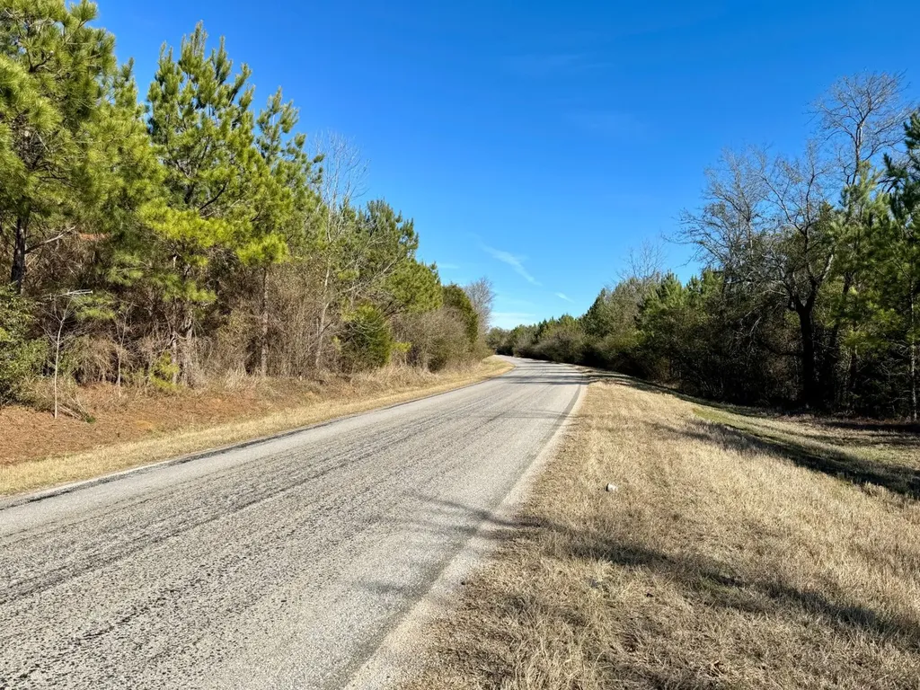 0 County Road 6 Marion Junction AL 36701