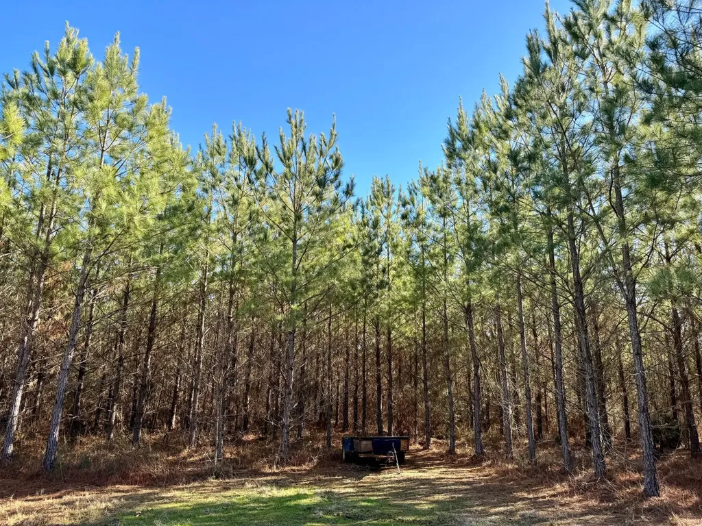 0 County Road 6 Marion Junction AL 36701