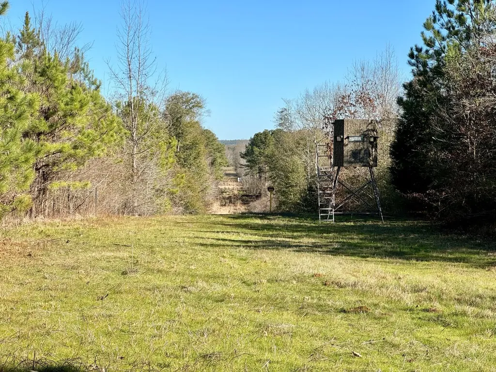 0 County Road 6 Marion Junction AL 36701