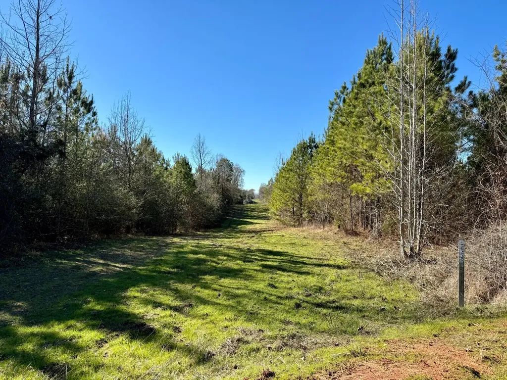 0 County Road 6 Marion Junction AL 36701