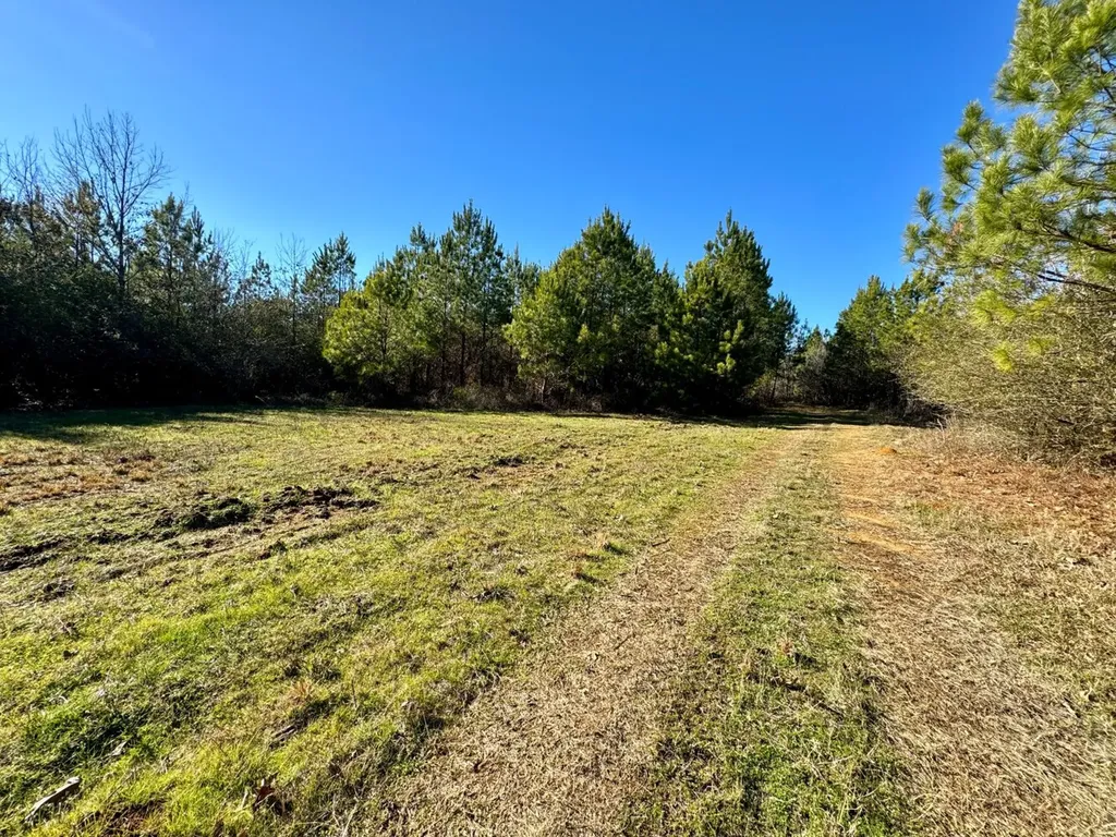 0 County Road 6 Marion Junction AL 36701