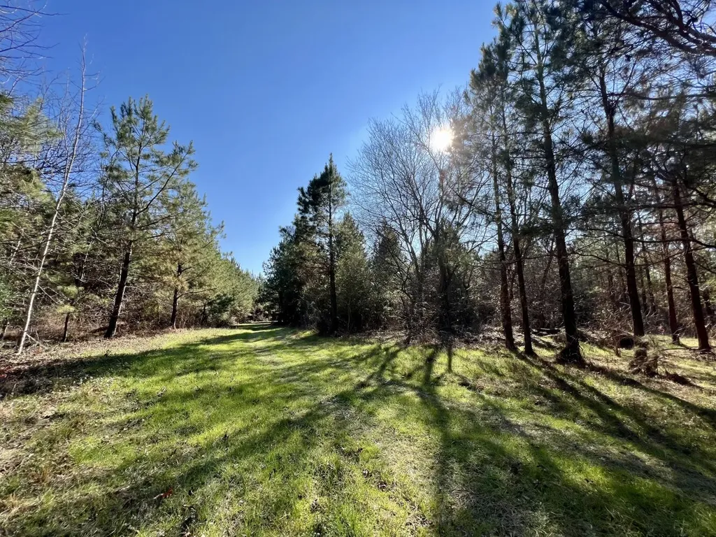 0 County Road 80 Tyler AL 36785