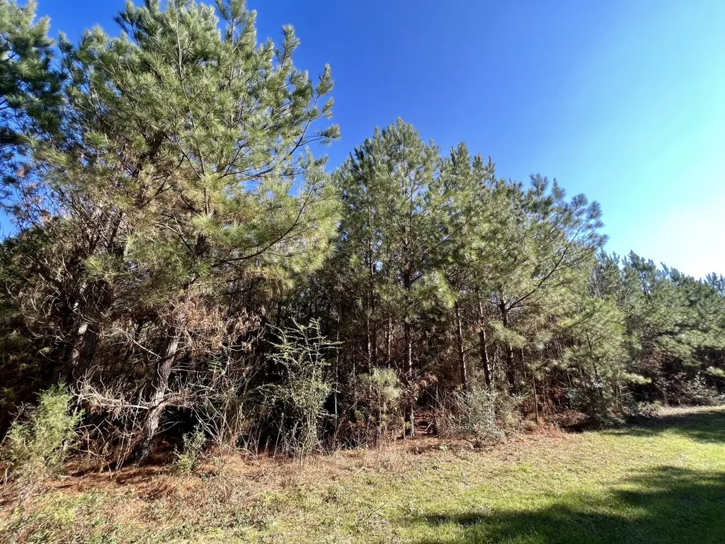 0 County Road 80 Tyler AL 36785