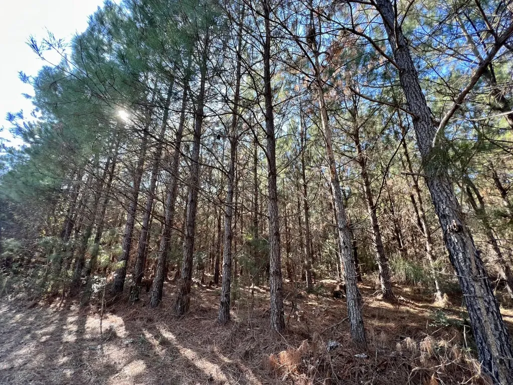 0 County Road 80 Tyler AL 36785