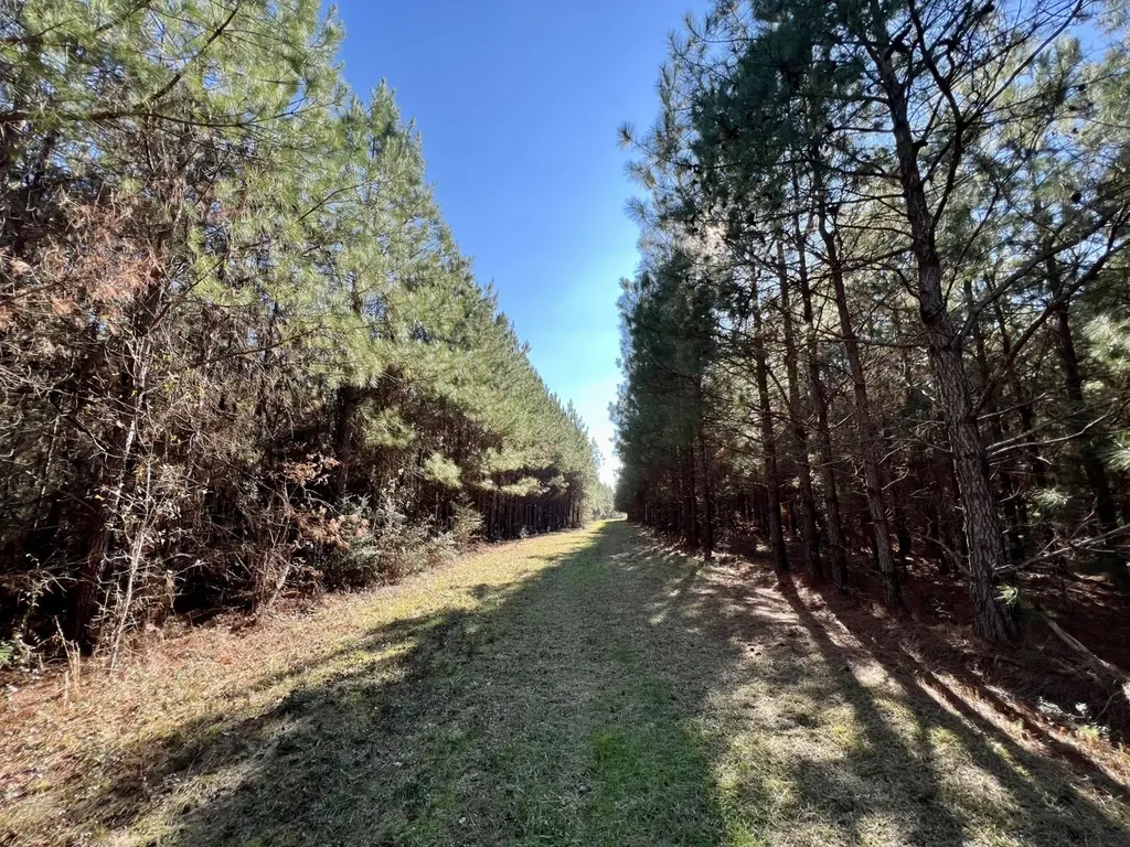 0 County Road 80 Tyler AL 36785