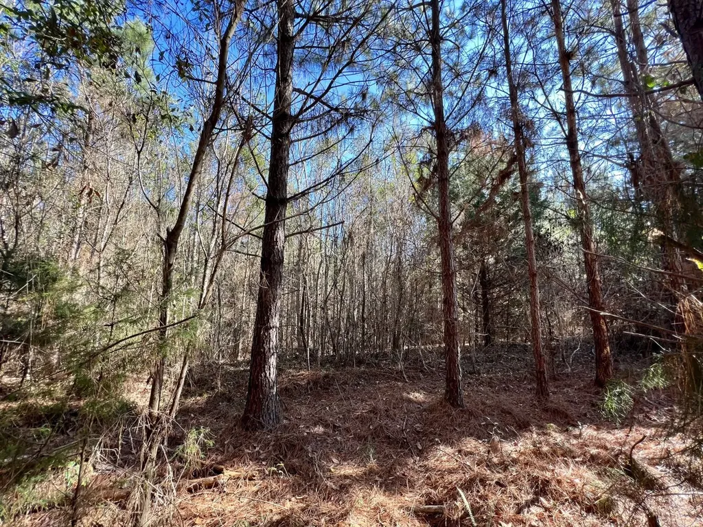 0 County Road 80 Tyler AL 36785