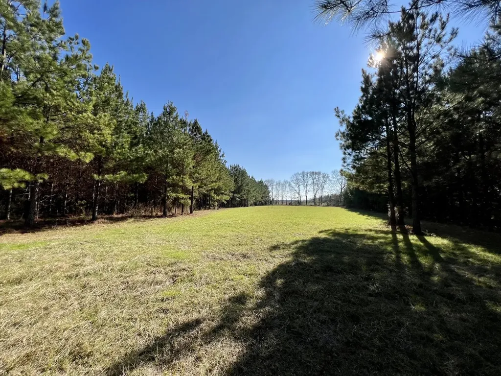 0 County Road 80 Tyler AL 36785