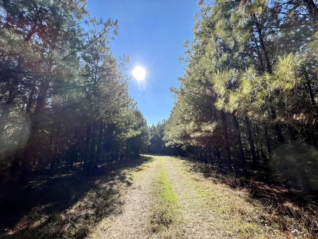 0 County Road 80 Tyler AL 36785