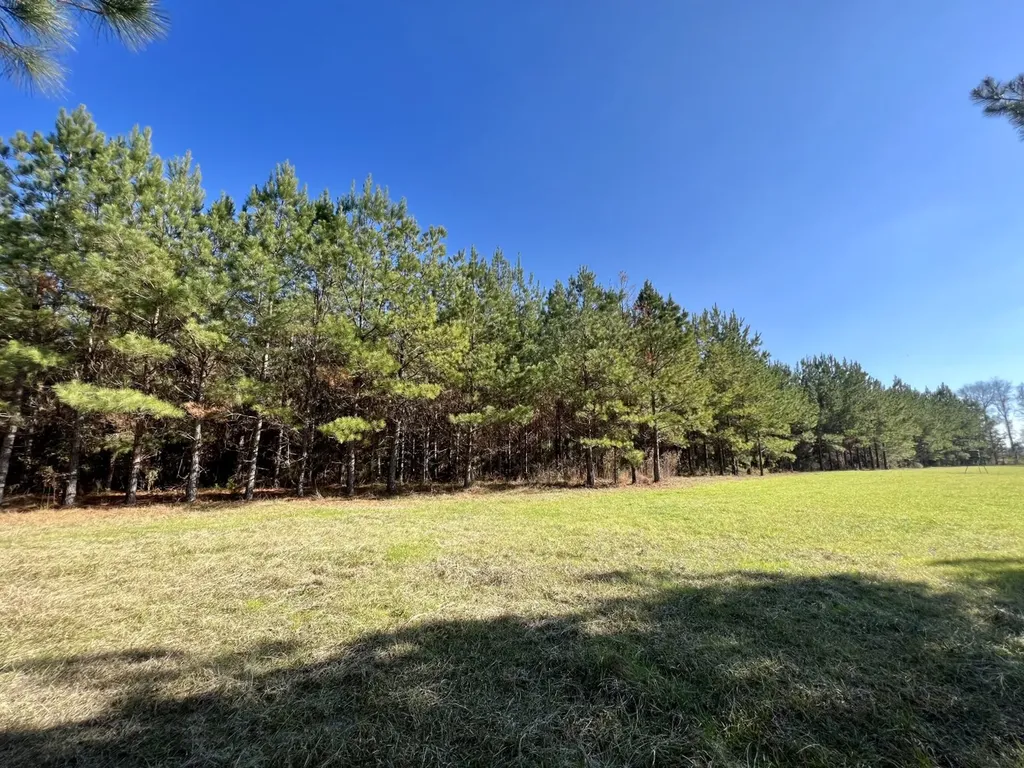 0 County Road 80 Tyler AL 36785