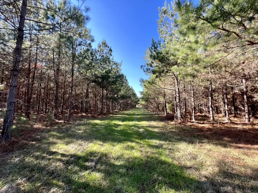 0 County Road 80 Tyler AL 36785