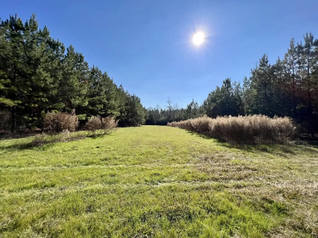 0 County Road 80 Tyler AL 36785