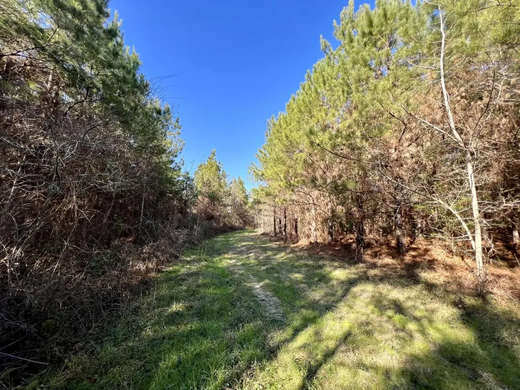 0 County Road 80 Tyler AL 36785