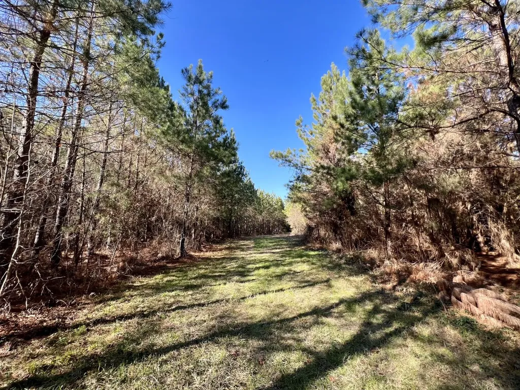 0 County Road 80 Tyler AL 36785