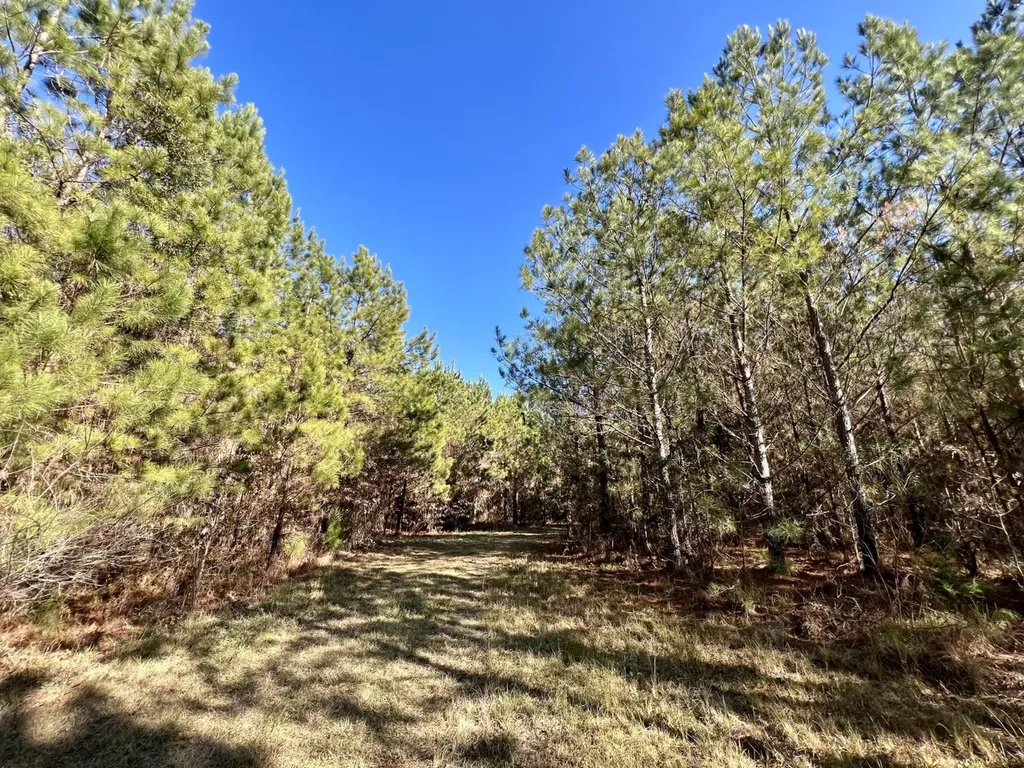 0 County Road 80 Tyler AL 36785