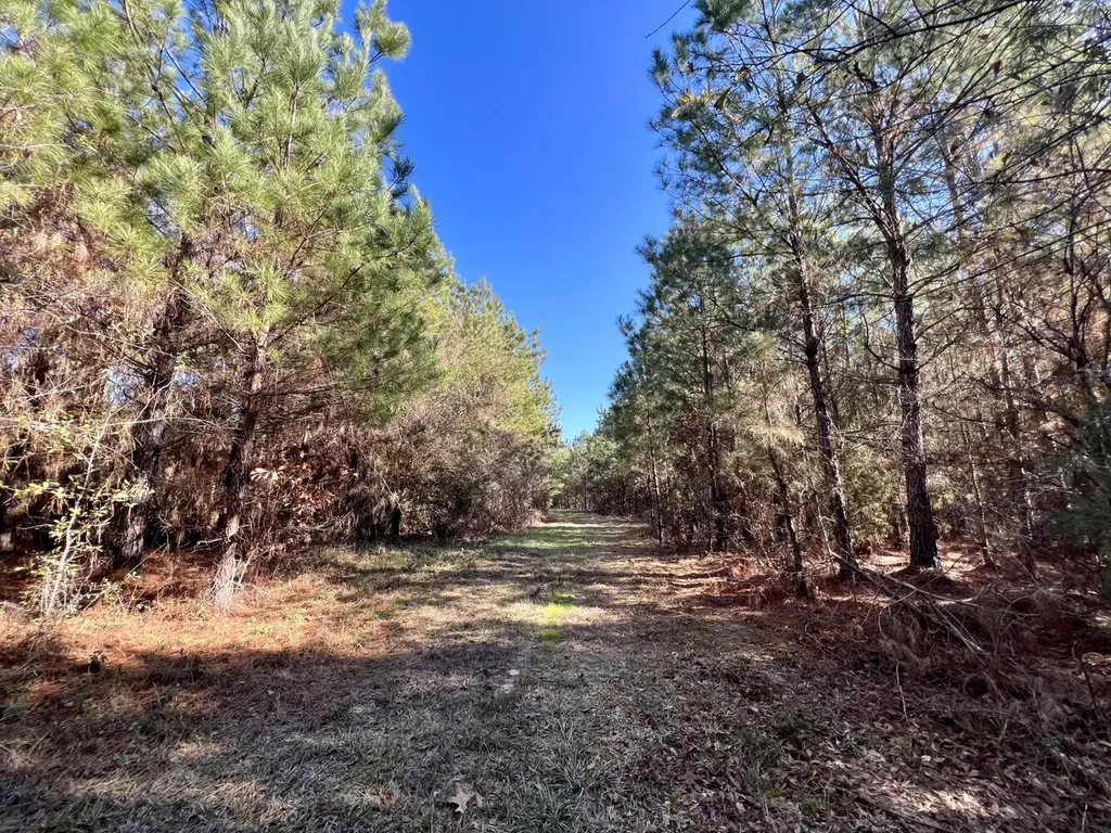 0 County Road 80 Tyler AL 36785