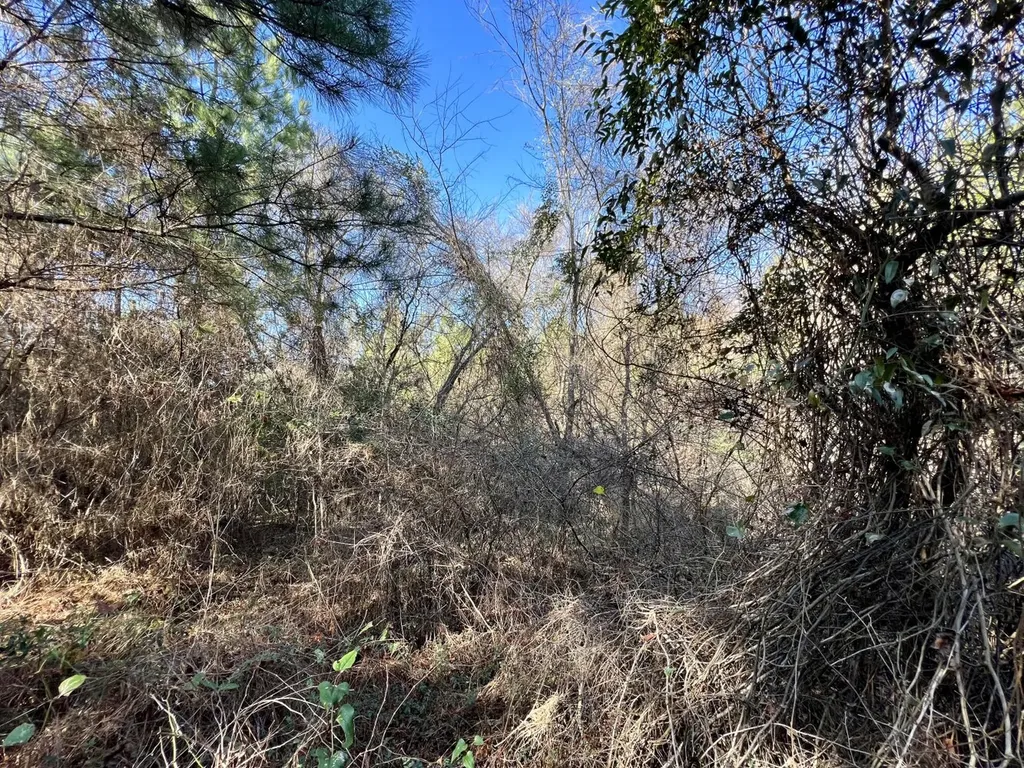 0 County Road 80 Tyler AL 36785