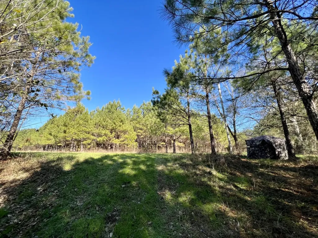 0 County Road 80 Tyler AL 36785