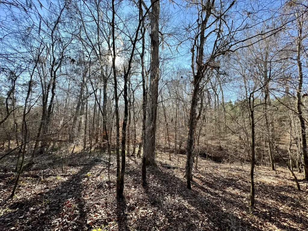 0 County Road 80 Tyler AL 36785