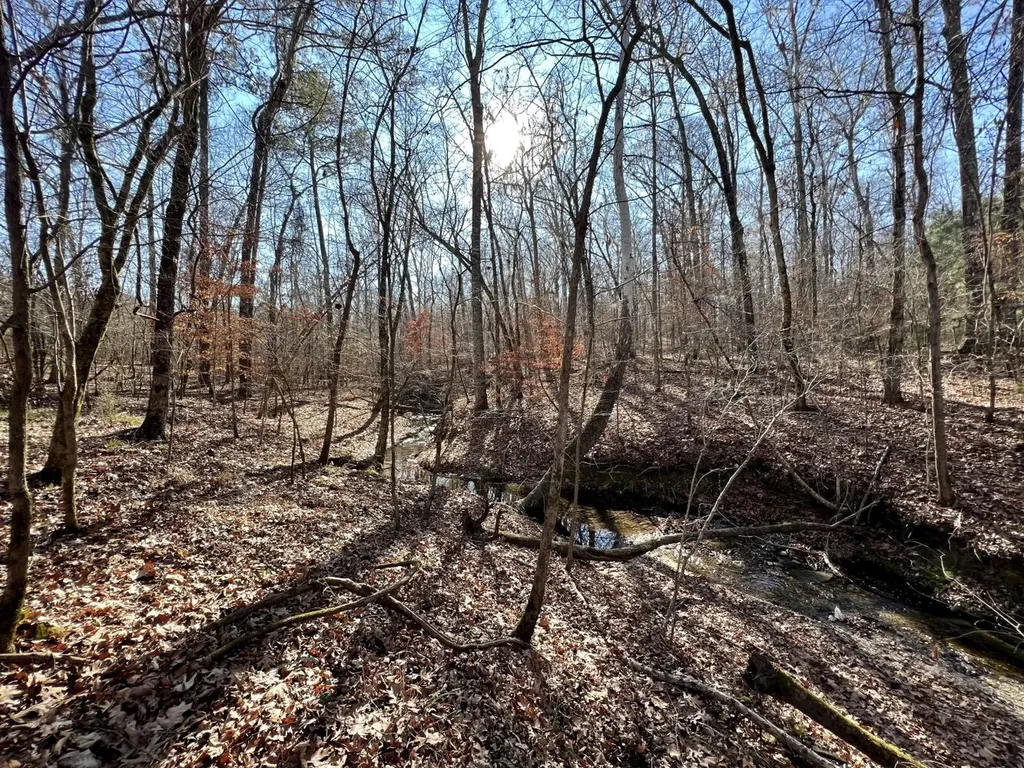 0 County Road 80 Tyler AL 36785