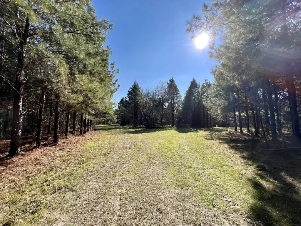 0 County Road 80 Tyler AL 36785