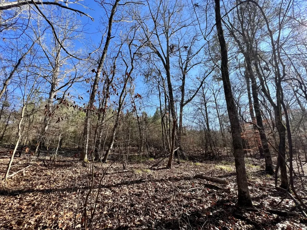 0 County Road 80 Tyler AL 36785