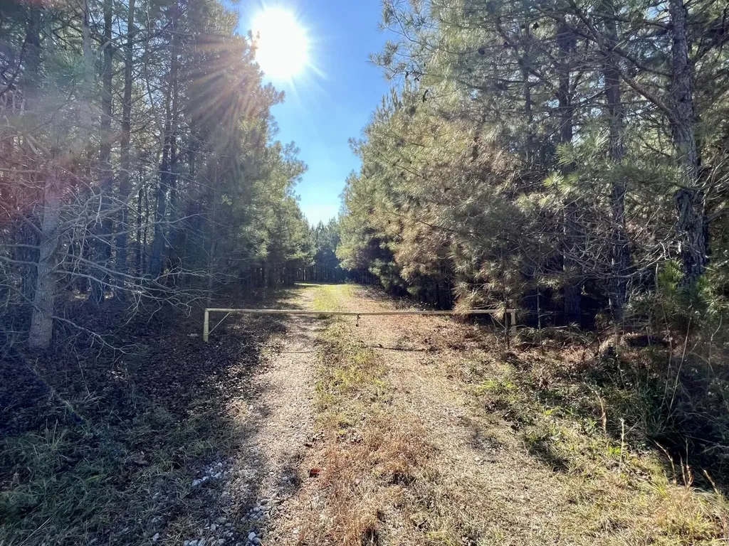 0 County Road 80 Tyler AL 36785