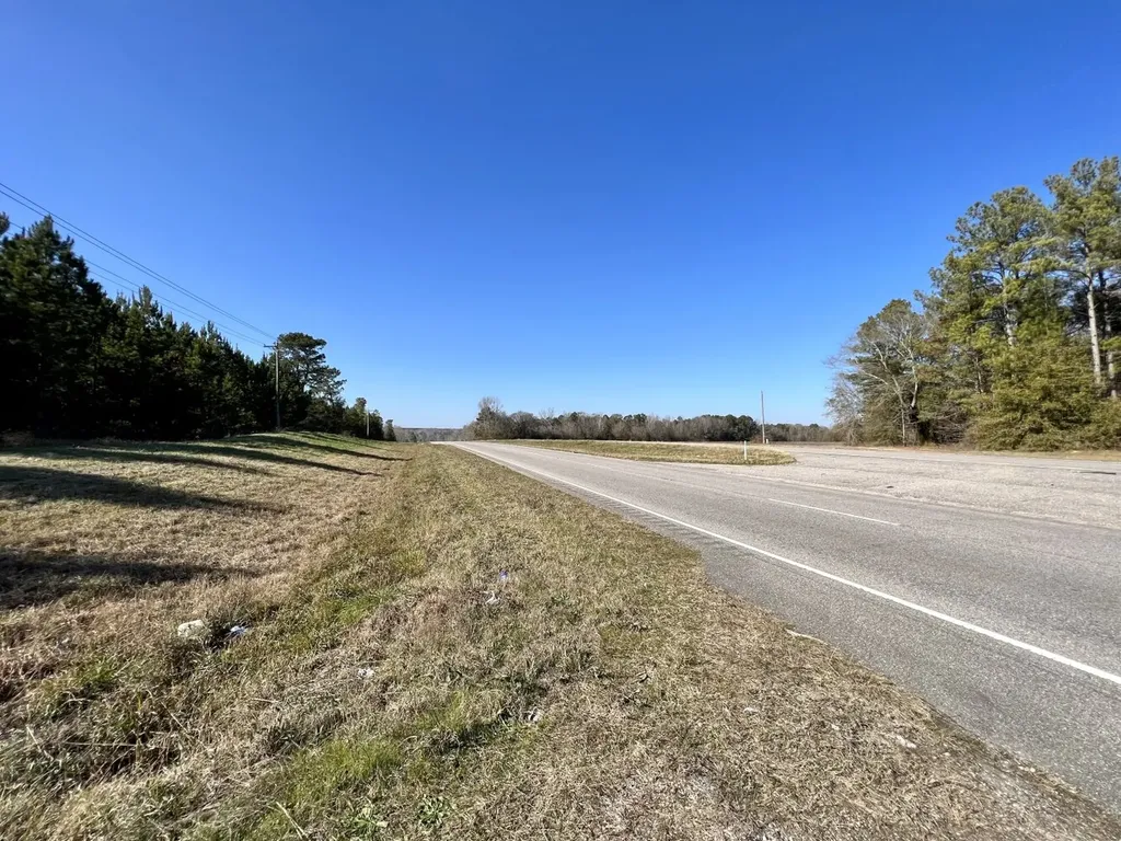 0 County Road 80 Tyler AL 36785