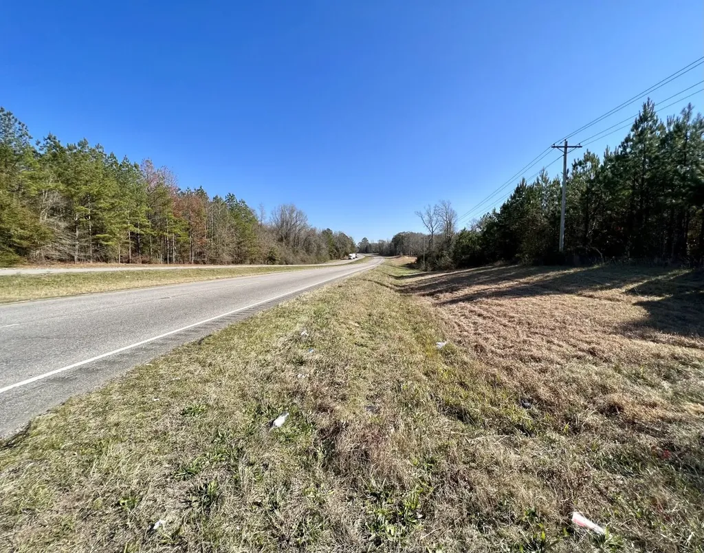 0 County Road 80 Tyler AL 36785