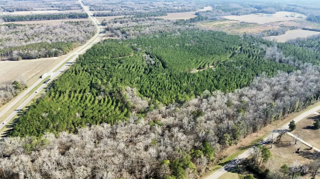 0 County Road 80 Tyler AL 36785