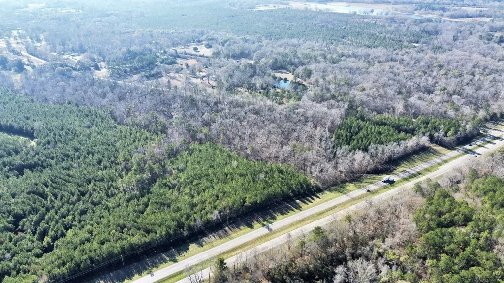 0 County Road 80 Tyler AL 36785