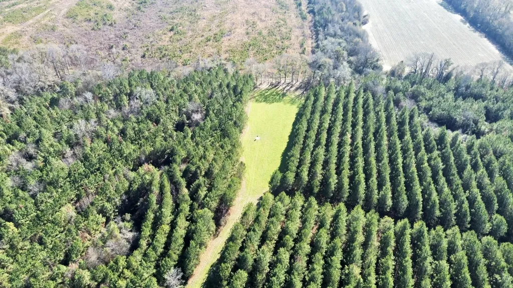 0 County Road 80 Tyler AL 36785