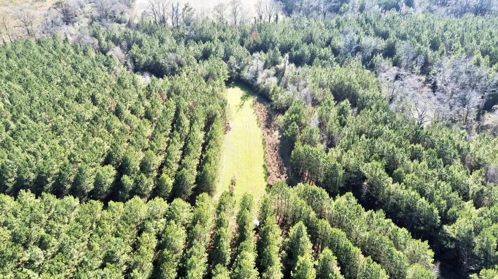 0 County Road 80 Tyler AL 36785