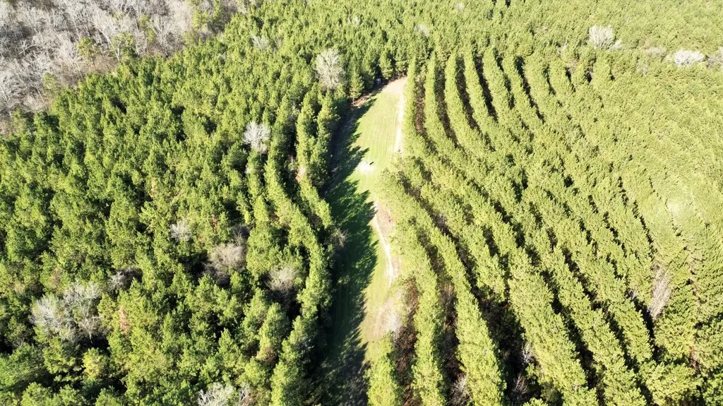 0 County Road 80 Tyler AL 36785