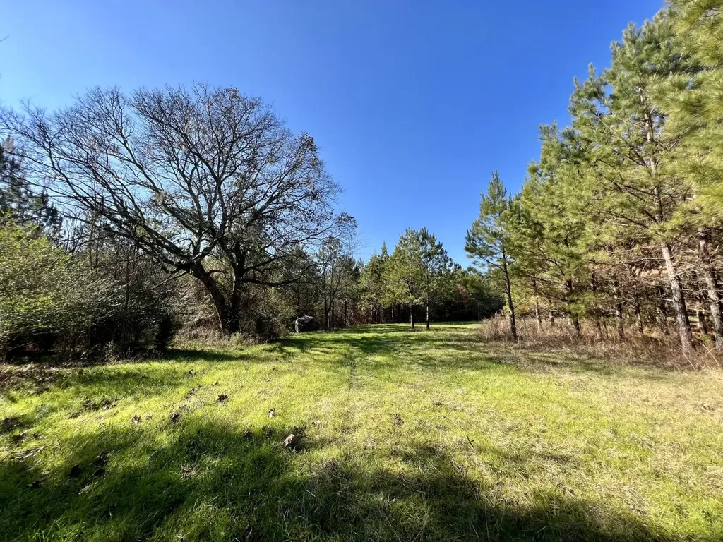 0 County Road 80 Tyler AL 36785