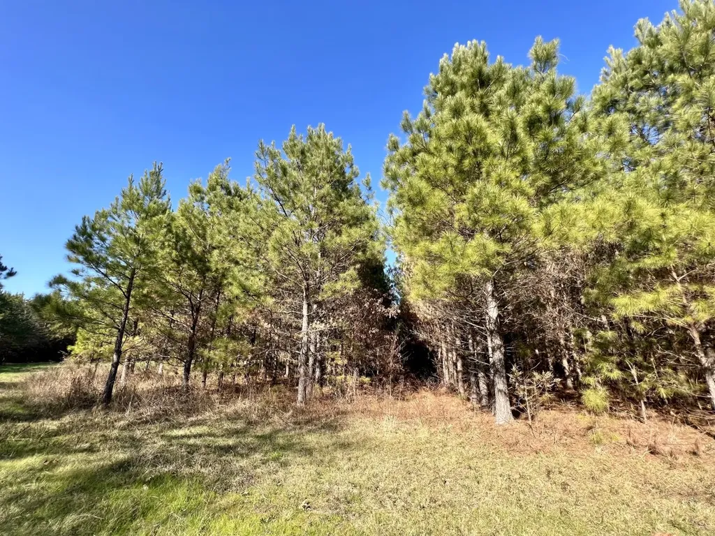 0 County Road 80 Tyler AL 36785