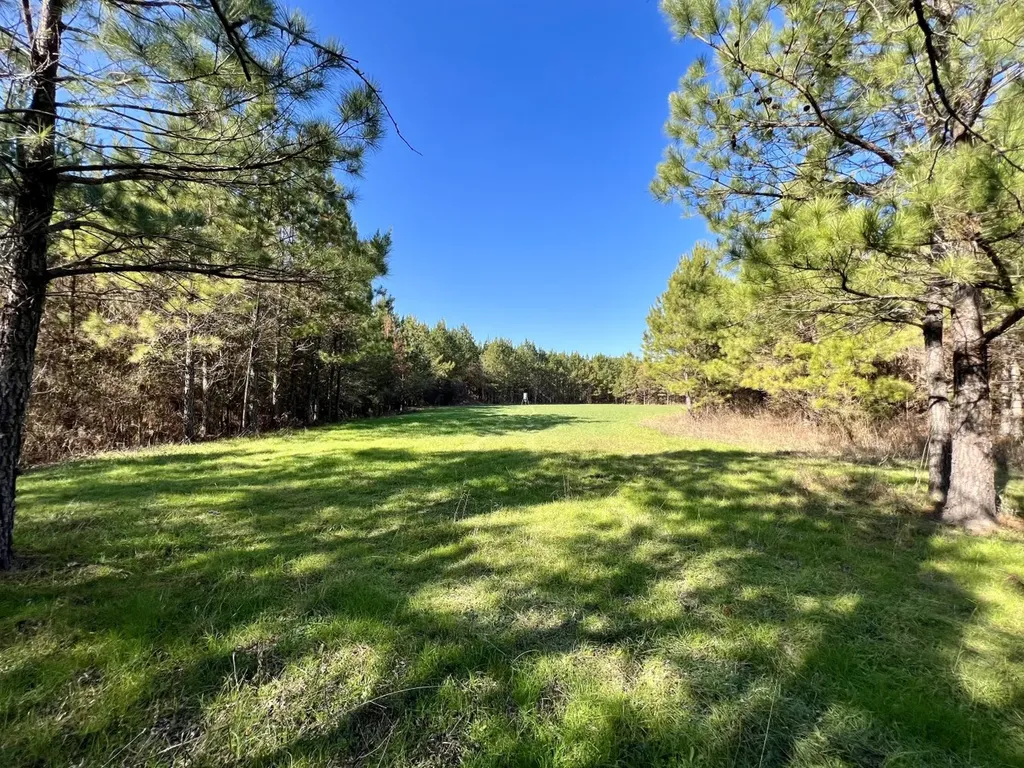 0 County Road 80 Tyler AL 36785