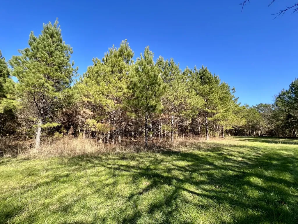 0 County Road 80 Tyler AL 36785