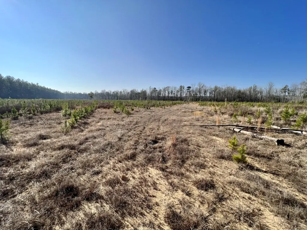 0 County Road 219 Summerfield AL 36701