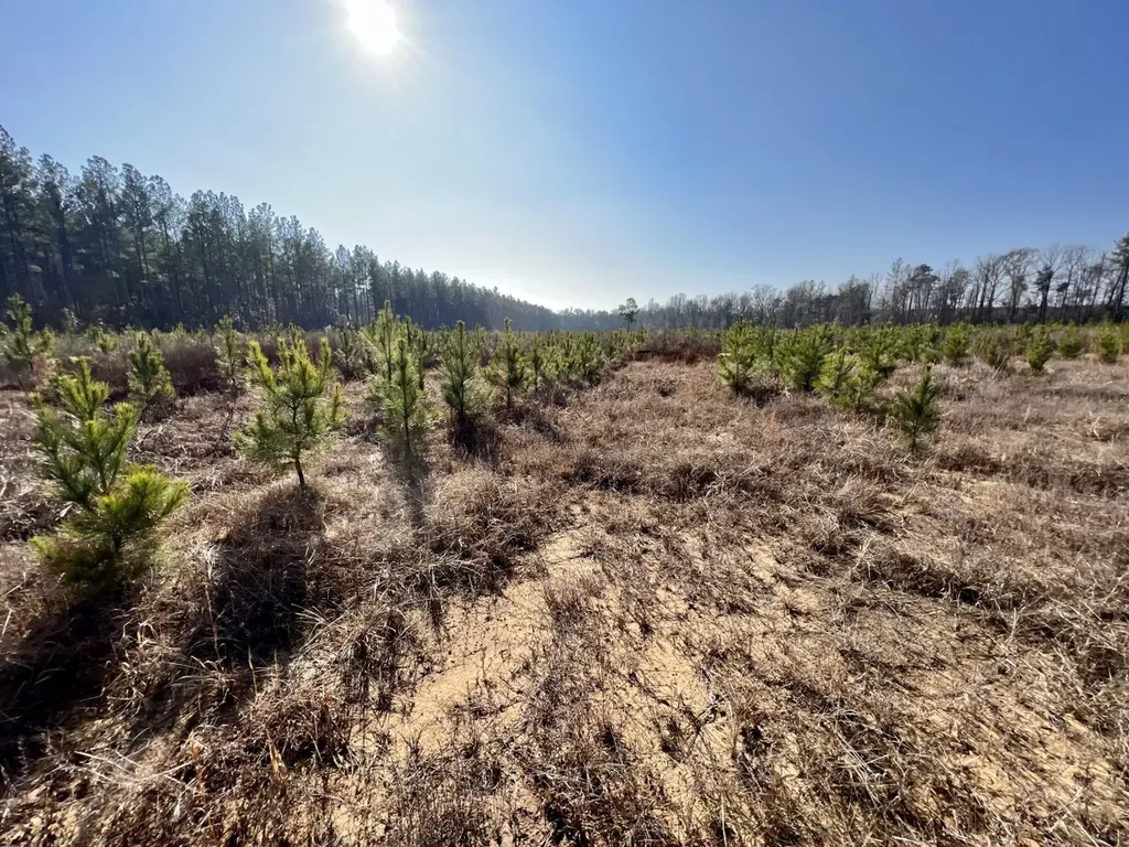 0 County Road 219 Summerfield AL 36701