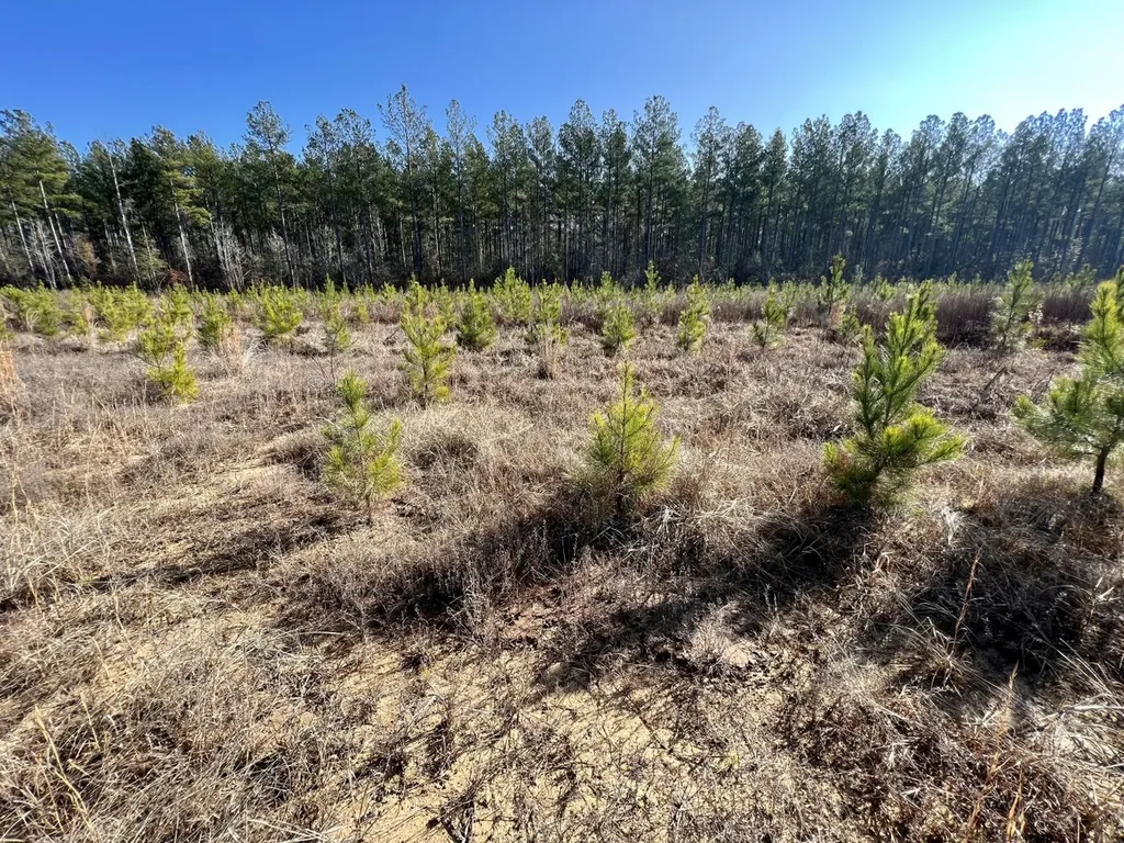 0 County Road 219 Summerfield AL 36701