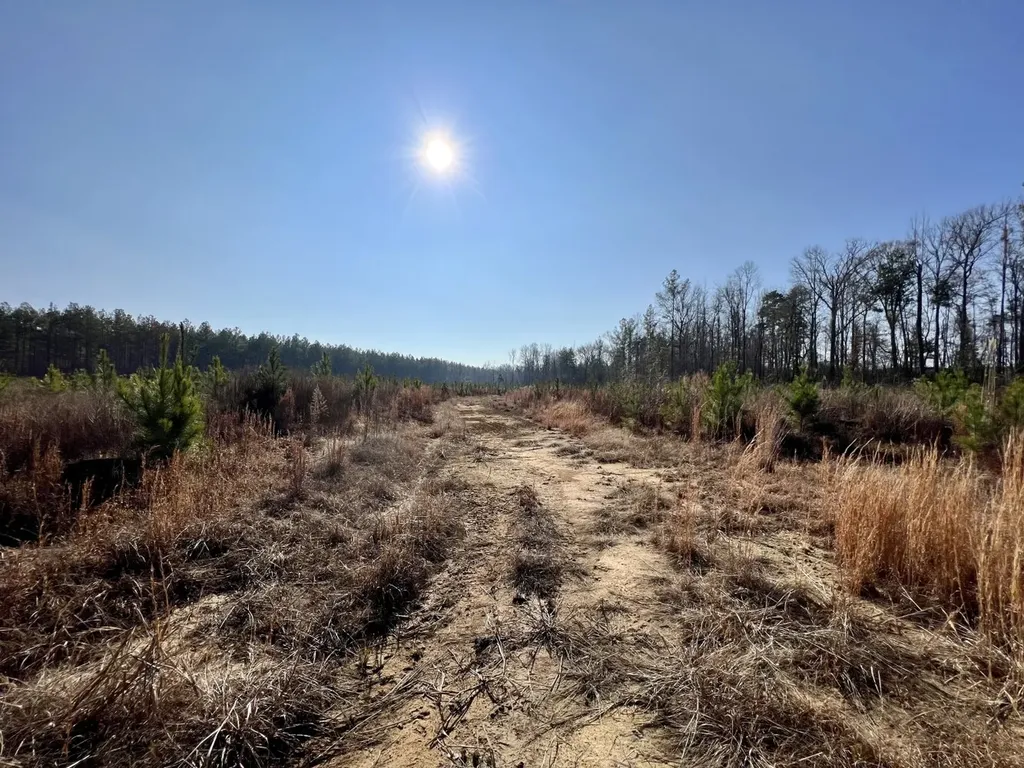 0 County Road 219 Summerfield AL 36701