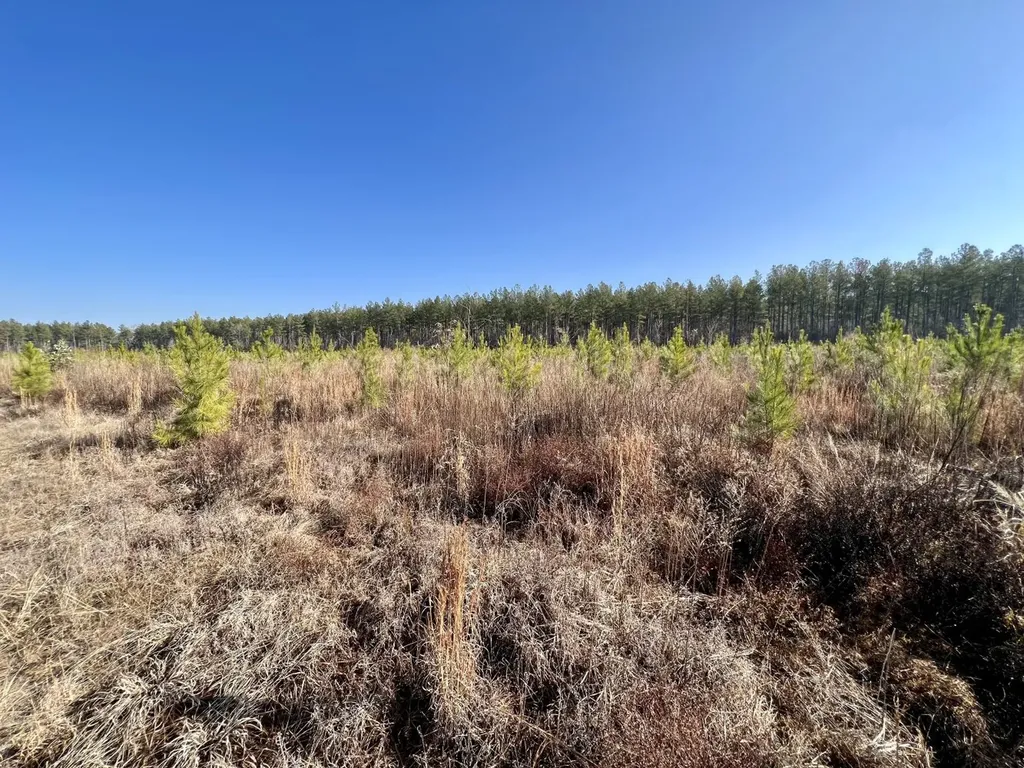 0 County Road 219 Summerfield AL 36701