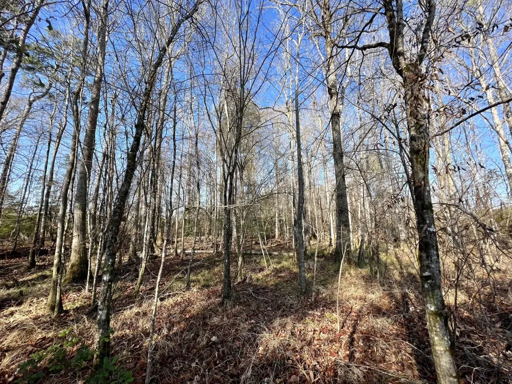 0 County Road 219 Summerfield AL 36701