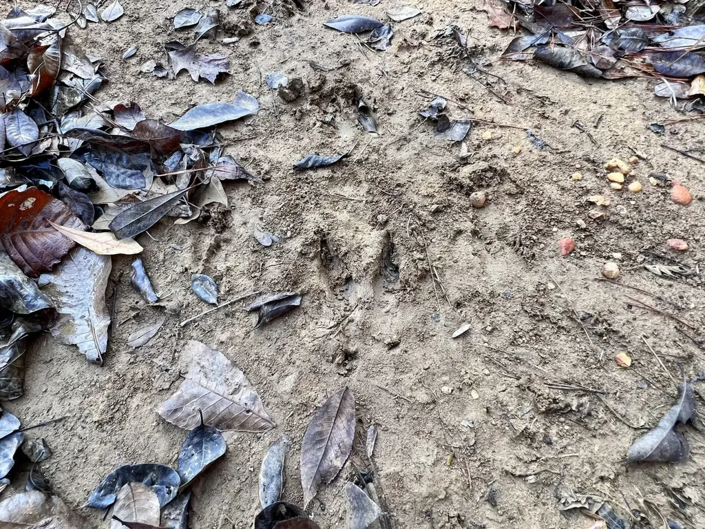 0 County Road 219 Summerfield AL 36701