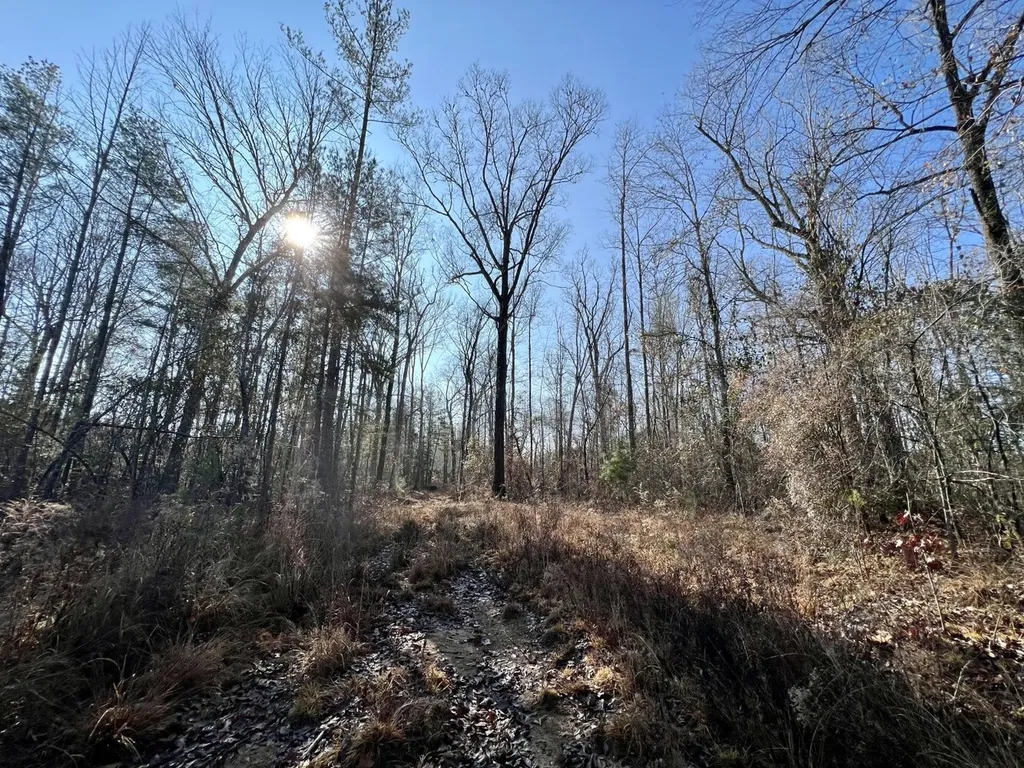 0 County Road 219 Summerfield AL 36701